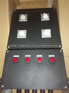 BXK8050-12A全塑三防控制箱