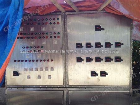江苏BYD-G304防爆不锈钢按键仪表箱加工