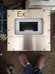 BXK-G304不锈钢防爆仪表箱设计加工,不锈钢防爆仪表箱选型