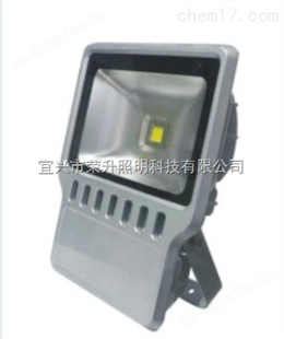LED投光灯具 RLEFL319-XL120