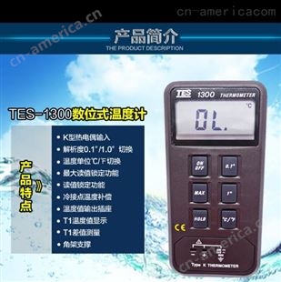 中国台湾泰仕 TES1300 测温仪双通道温度表 TES1303 温度计工业高温计