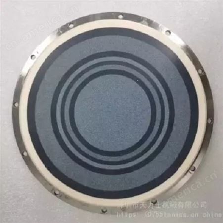 6英寸 8英寸天力士TANISS晶圆（晶片）减薄/研磨工作盘 半导体封装 grinding