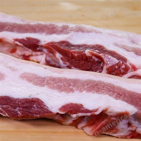 冷冻新鲜猪肉 肉质鲜嫩 瘦肉新鲜肉食堂鲜肉采购 鲜肉配送