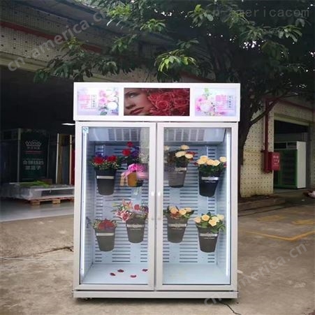 广州易购鲜花自助售卖机 鲜花无人售卖柜工厂 自助售花机报价