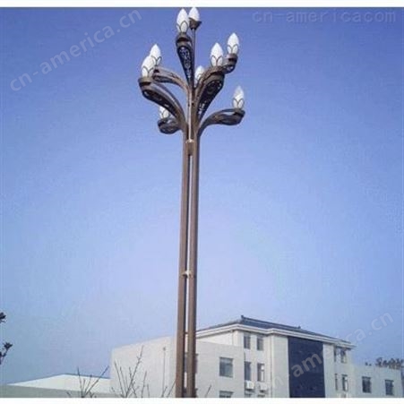 led玉兰灯高杆8-12米景观灯中华灯防水市政道路照明灯具